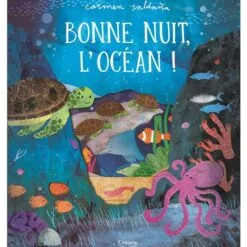 Bonne nuit, l'océan !