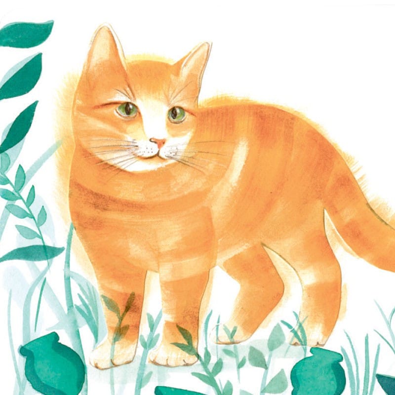 Petit chat – Image 2