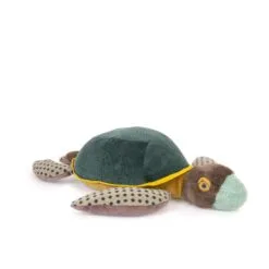 Grande tortue Tout autour du monde – Image 2