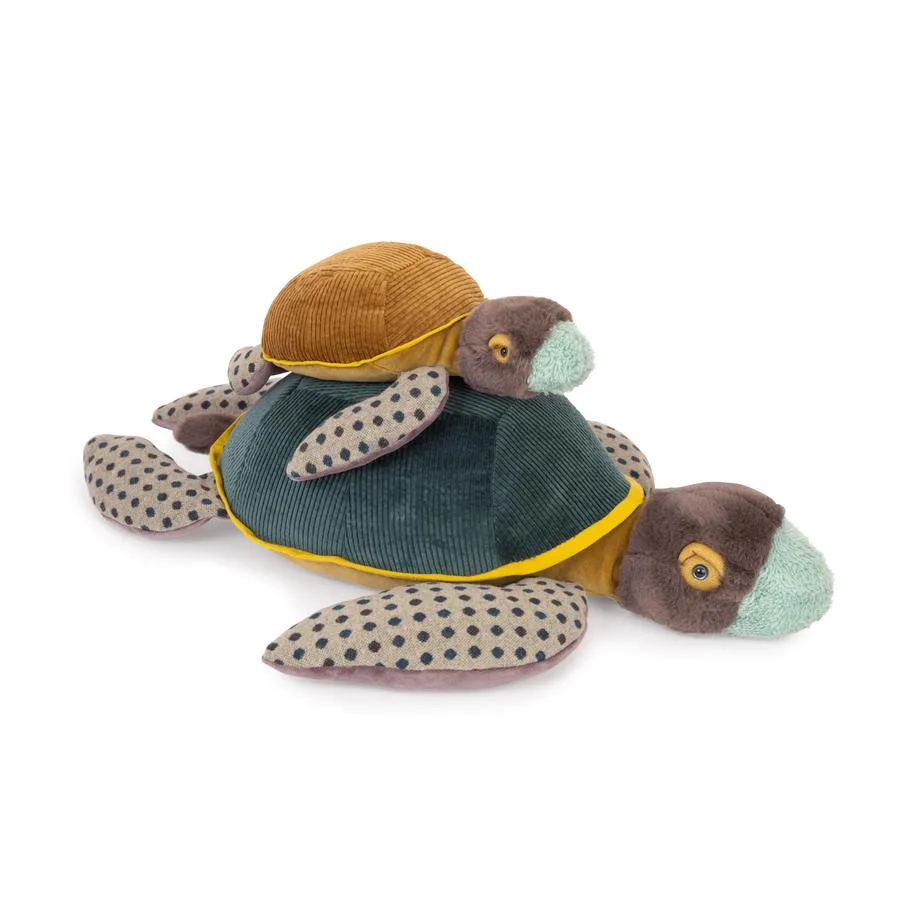 Grande tortue Tout autour du monde – Image 4
