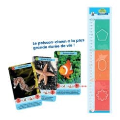 Défis nature junior - merveilles de la mer – Image 3