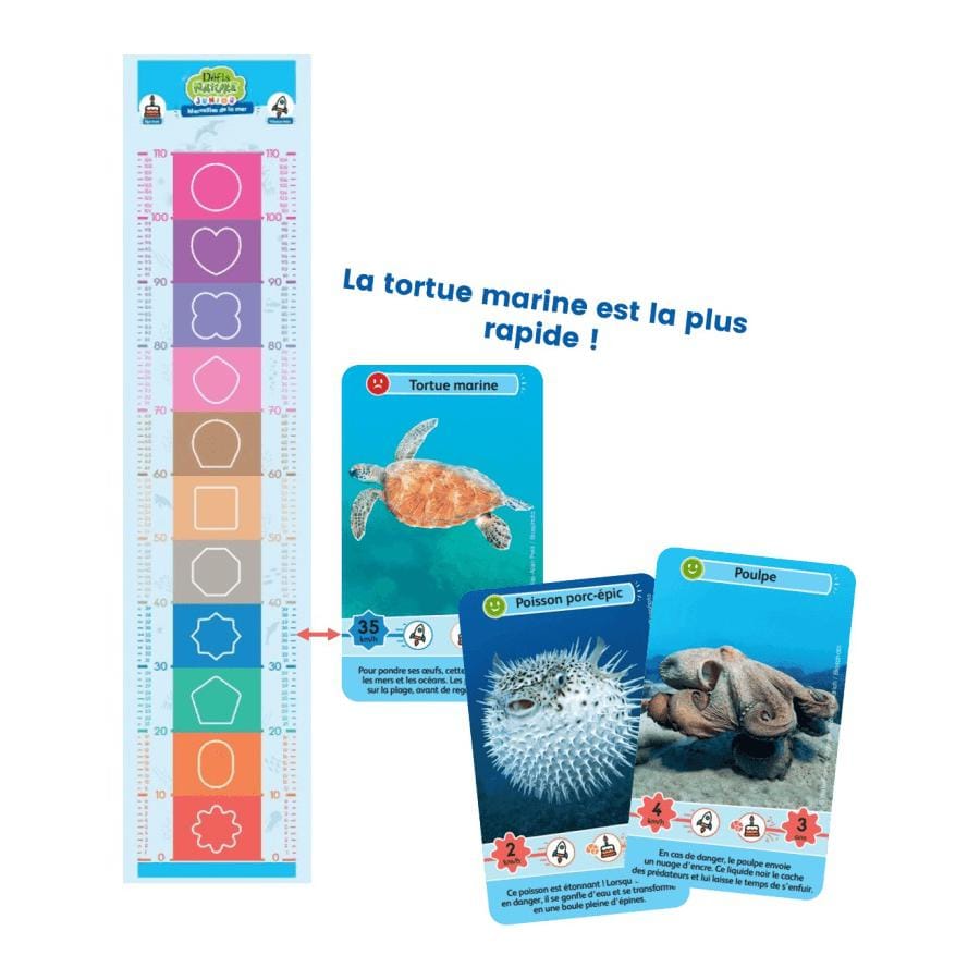 Défis nature junior - merveilles de la mer – Image 4