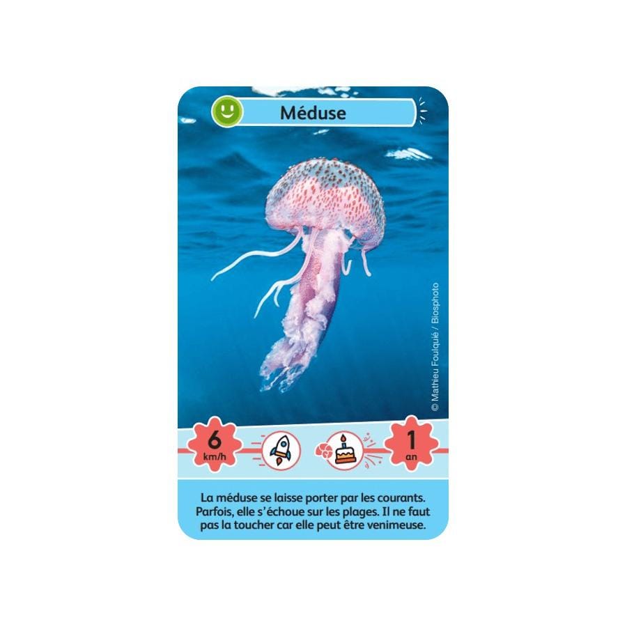 Défis nature junior - merveilles de la mer – Image 5