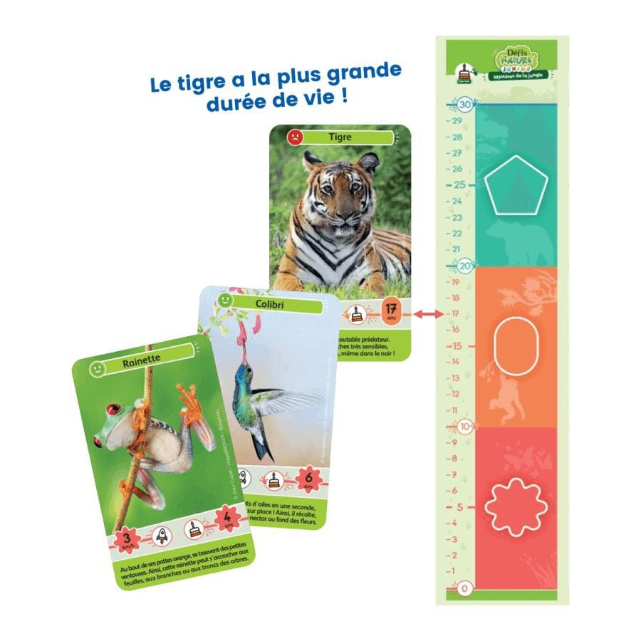Défis nature junior - mystères de la jungle – Image 3