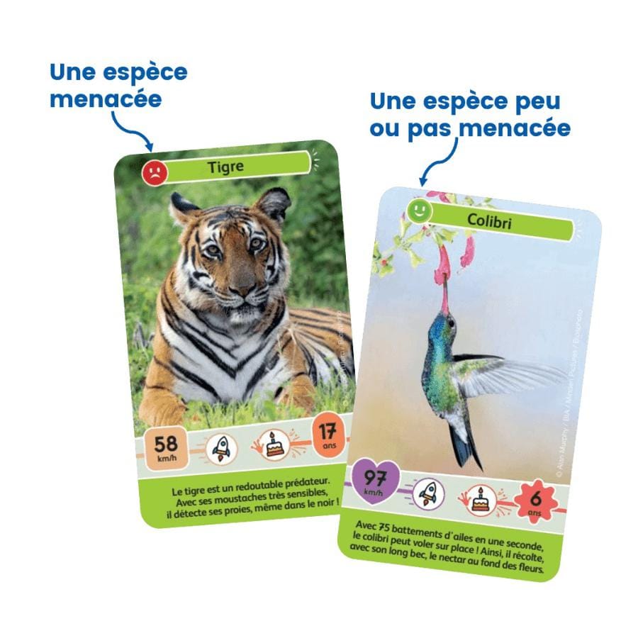 Défis nature junior - mystères de la jungle – Image 6