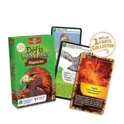 Defis nature - rapaces – Image 3
