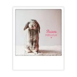 baisers moelleux