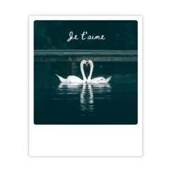 Je t'aime