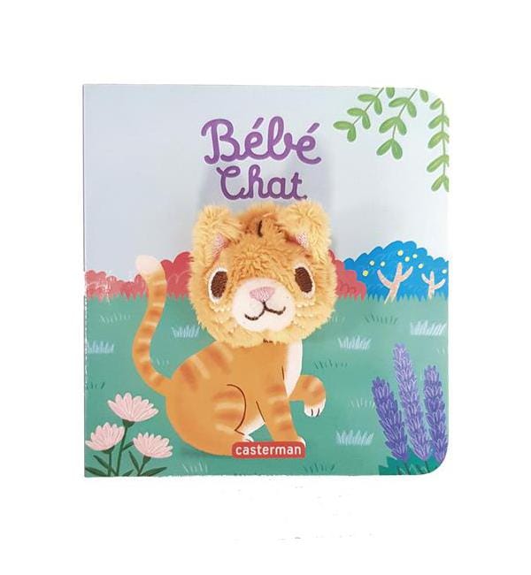 Bébé chat