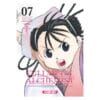 Fullmetal Alchemist Perfect Tome 7