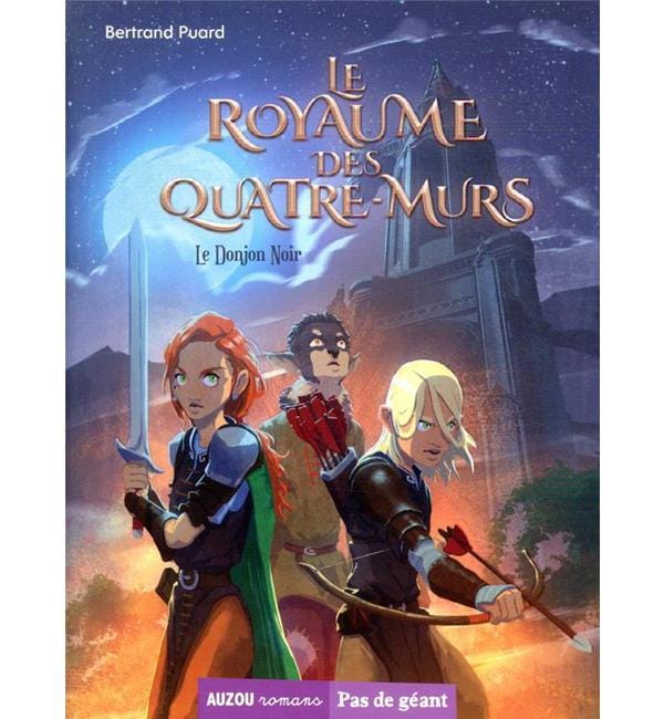 Le Royaume des Quatre-Murs - Tome 1, Le Donjon noir