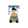 Dragon Ball Tome 13 - L'empire du chaos