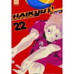 Haikyu !! Les As du volley Tome 22 - Terre contre ciel