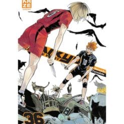 Haikyu !! Les As du volley Tome 36 - Ma victoire