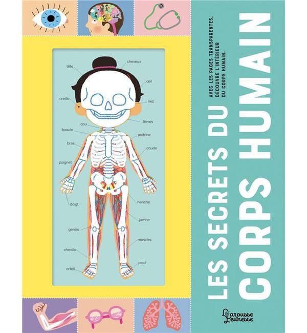 Les secrets du corps humain