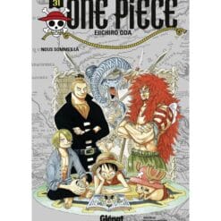 livre one piece tome 31