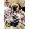 one piece tome 79