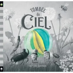 Tombée du ciel