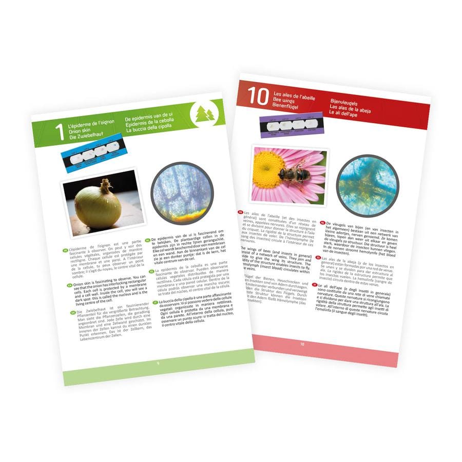 Microscope 15 expériences – Image 2