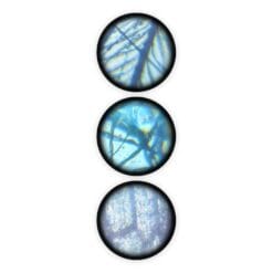 Microscope 15 expériences – Image 8