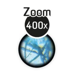 Microscope 15 expériences – Image 9