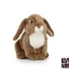 Lapin bélier français (3 coloris)