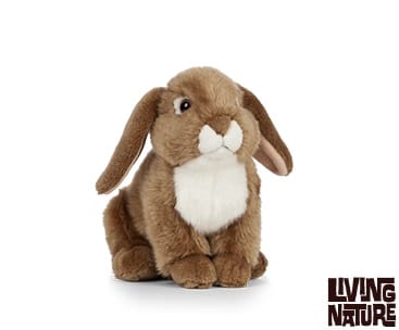 Lapin bélier français (3 coloris)
