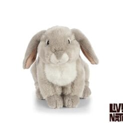 Lapin bélier français (3 coloris) – Image 2