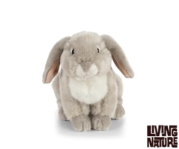 Lapin bélier français (3 coloris) – Image 2
