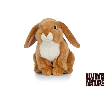 Lapin bélier français (3 coloris) – Image 3