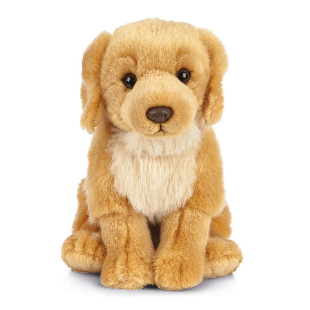 Peluche Chien Golden Retriever