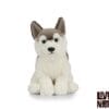 Peluche Chien Husky