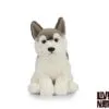 Peluche Chien Husky