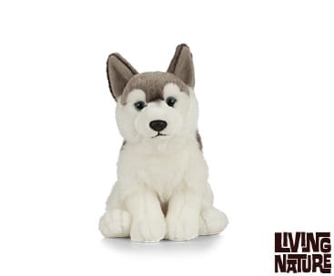 Peluche Chien Husky