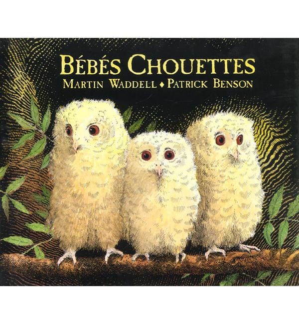 Bébés chouettes