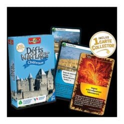 DEFIS NATURE - CHATEAUX – Image 3