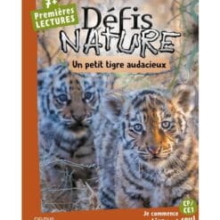 Un petit tigre audacieux
