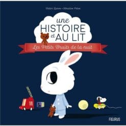 Les petits bruits de la nuit