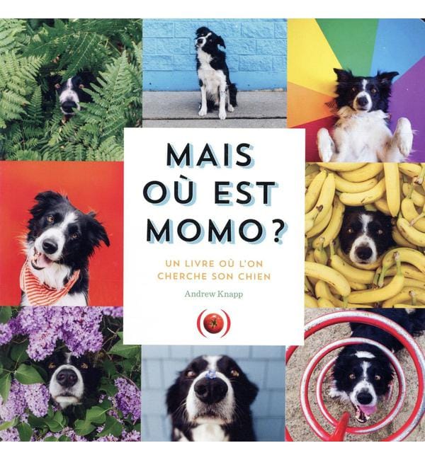 Mais où est Momo ? - Un livre où l'on cherche son chien