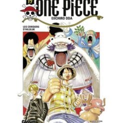 one piece tome 17
