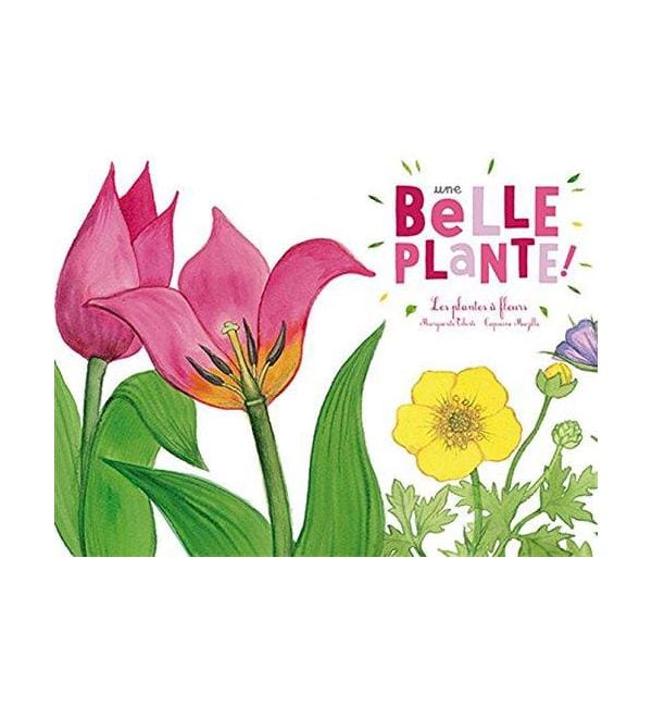 Une belle plante - Les plantes à fleurs