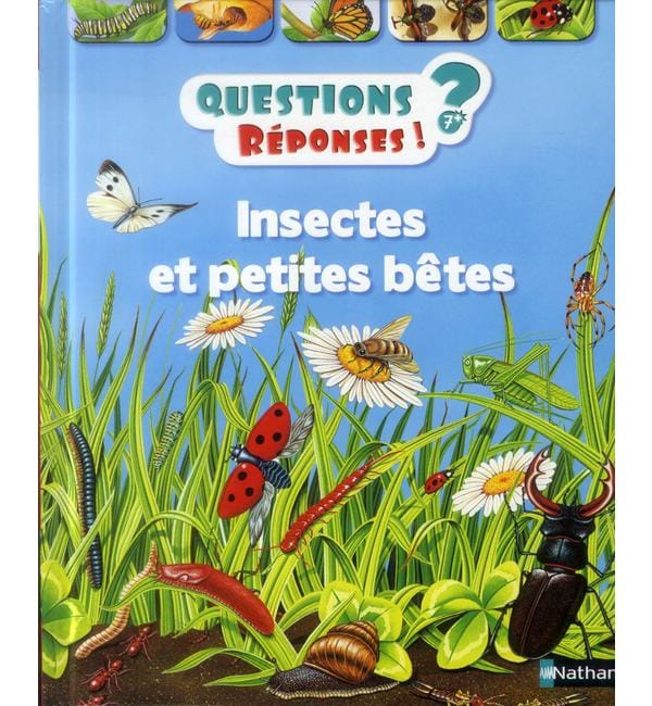 Insectes et petites bêtes
