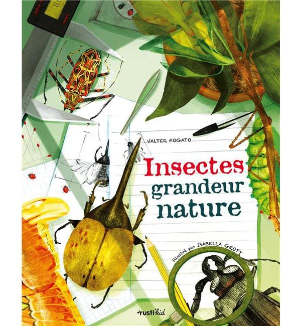 Insectes grandeur nature