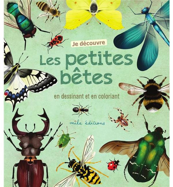Je découvre les petites bêtes en dessinant et en coloriant