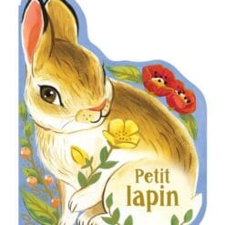Petit lapin
