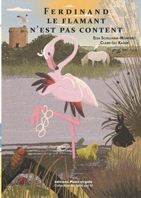 Ferdinand le flamant n'est pas content - Ferdinand le flamant n'est pas content