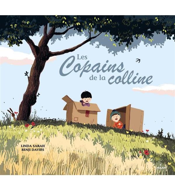 livre-les-copains-de-la-colline-9782745972026