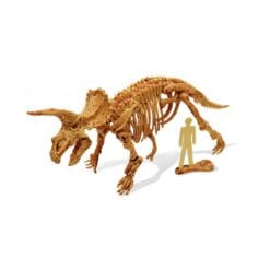 DinoKit Triceratops – Image 3