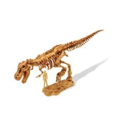 DinoKit - Tyrannosaurus – Image 3