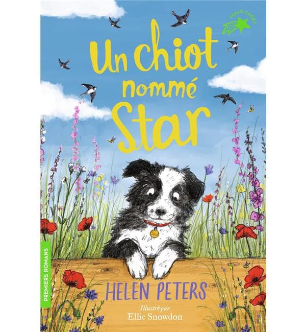 Un chiot nommé Star